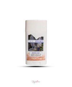 Citrus Pine Travel Soap Stick Skin Care